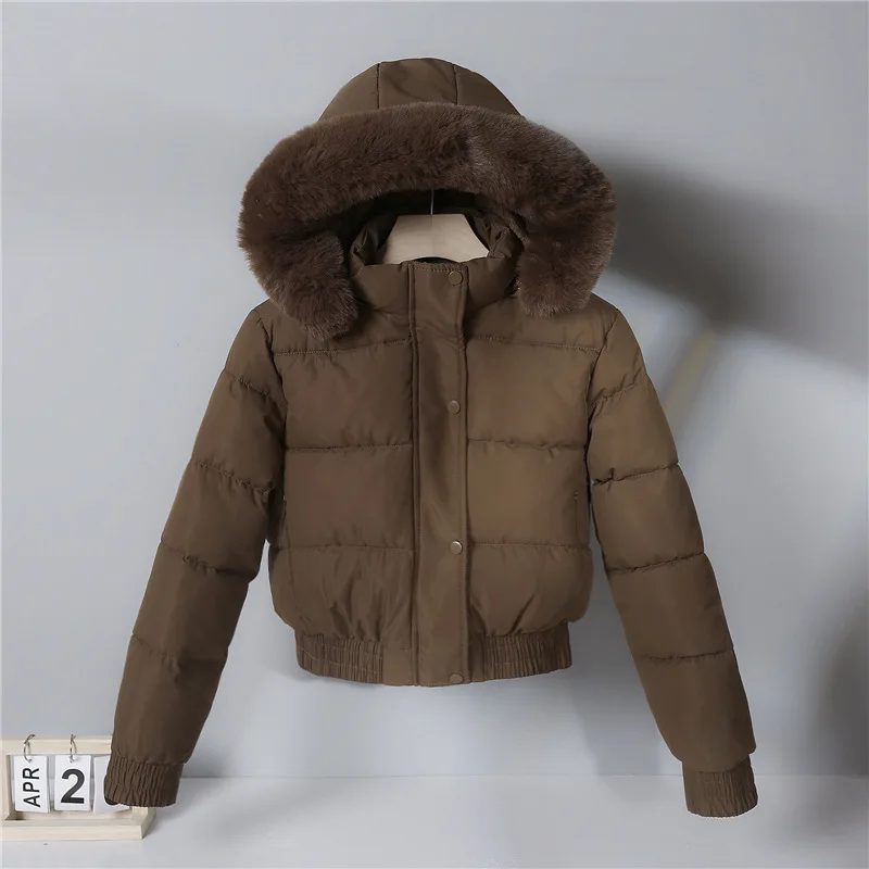 Chaqueta cálida de algodón para mujer, Parkas de manga larga con forro polar grueso, cuello de piel, otoño e invierno, novedad