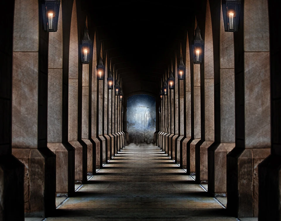 

Johnson palace Path Full Moon Corridor Light backdrops High quality computer print scenic Photography Studio Backgrounds