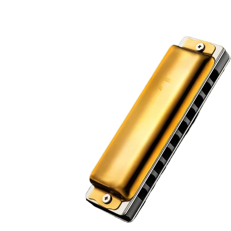 Harmonica Professional Performance Grade, Ten Hole Blues Harmonica ONE70