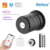 TUYA Wehere Smart Door Lock M531 Fingerprint Lock Remote Control Support Alexa Wifi Wireless Original Cylinder Cut Key Switch