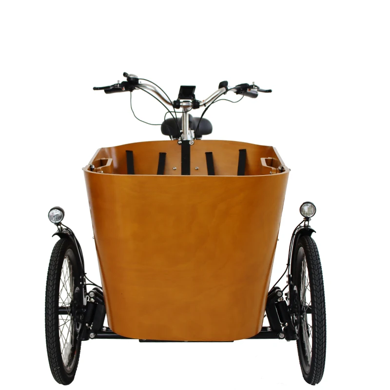 دراجة ثلاثية العجلات مع دراجة ثلاثية العجلات للشحن للبيع أمام صندوق البضائع، إصدارات كهربائية ودليلية لدراجة البضائع