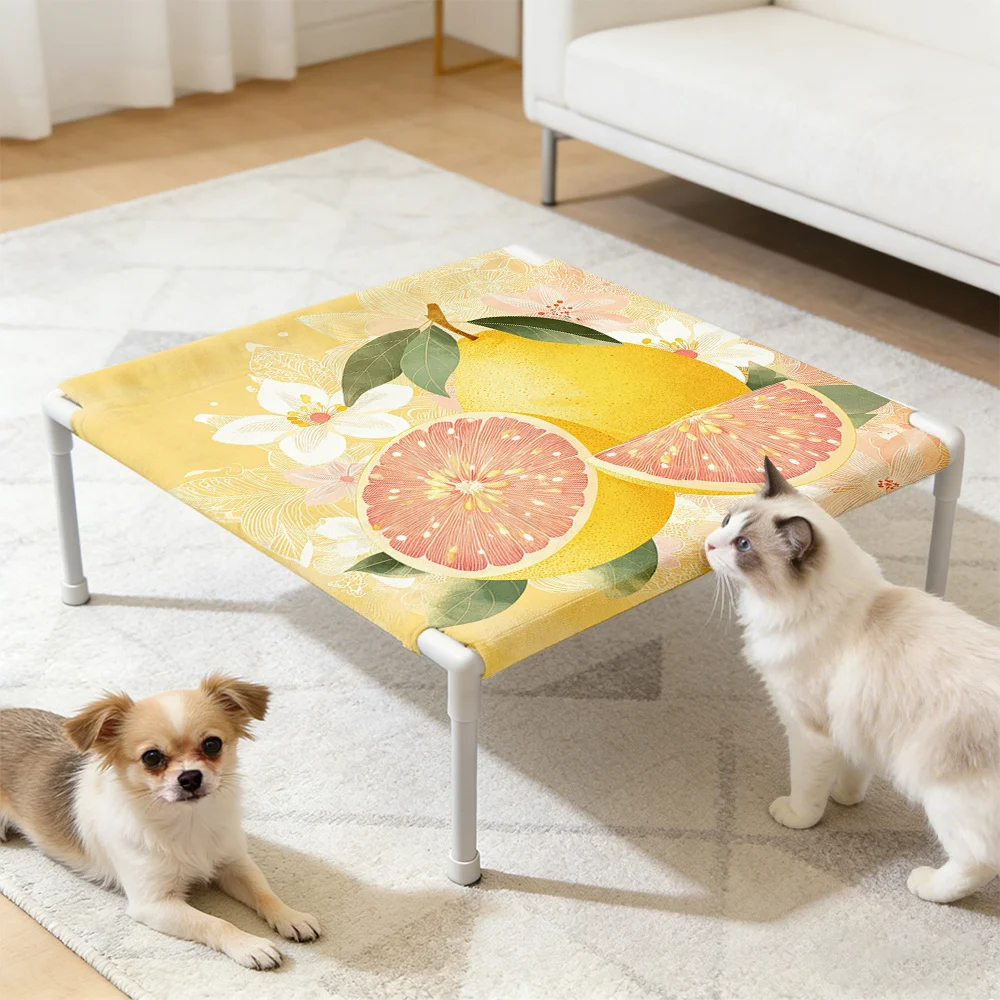 

Красивая и съемная моющаяся лежанка для кошек с освежающим фруктовым ароматом и очаровательным дизайном. Это идеальный подарок на день рождения для...