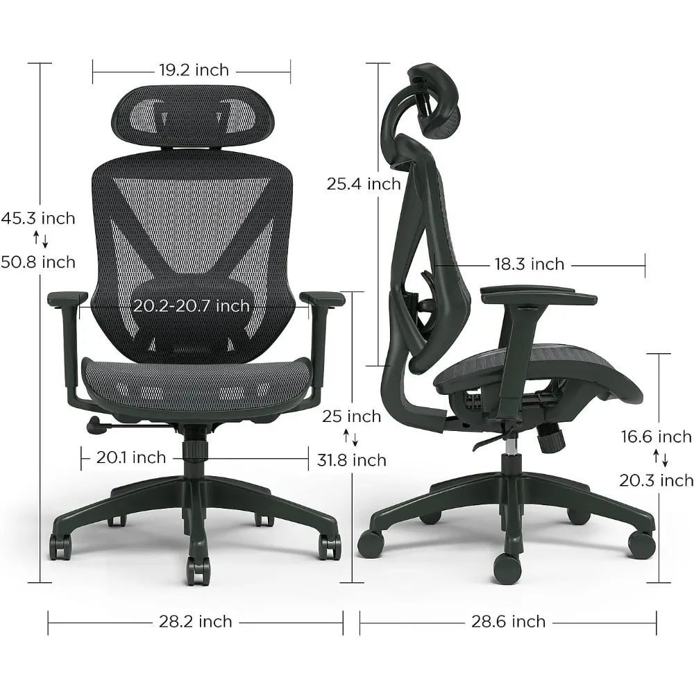 Dexley Ergonomic Mesh Swivel Task Chair,