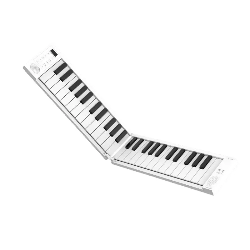 

2025 Hot Selling 49-Key Electronic Organ Midi Keyboard Folding Keyboard Piano