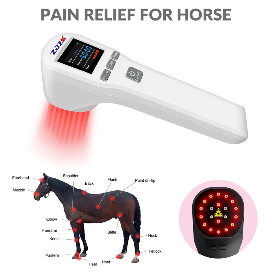 Paardenlasertherapie Voor Schouderbursitis Gewrichtsartritis Behandeling Rood Infrarood Licht Spiermassageapparaat 4 × 808nm 16 650 × Nm Diodes