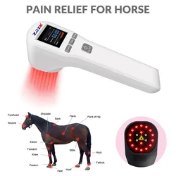 Equine Laser Therapy for Shoulder Bursitis Joint Arthritis Treatment Red Infrared Light Muscle Massager 4×808nm 16×650nm Diodes