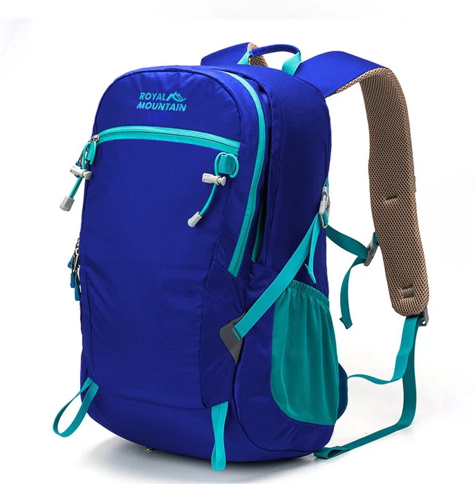 backpack for camera and 17 laptop Anvil it’s photogenic and it Color:Matcha Green ICON Backpack - Signal school clear bag