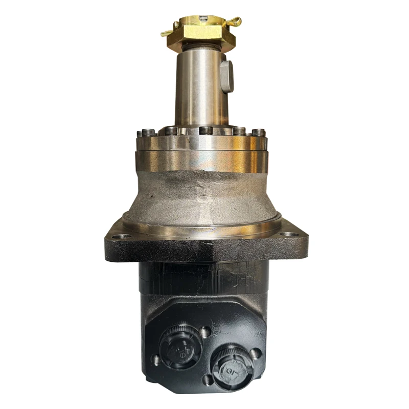 

Hydraulic Motor BMV Mold Cycloidal Oil Motor Low-speed High Torque Forward and Reverse Rotation Marine Cycloidal Fluid