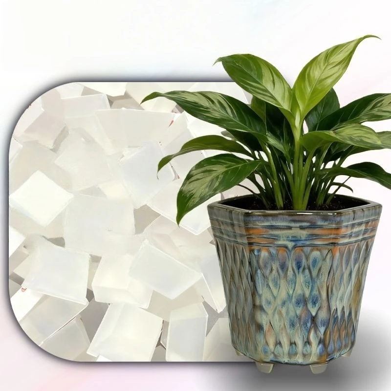 40Pcs Set of Plant Pot Raising Bases and Non-Slip Mats, 12mm Diameter, Suitable for Small Plant Pots as Heightening Pads