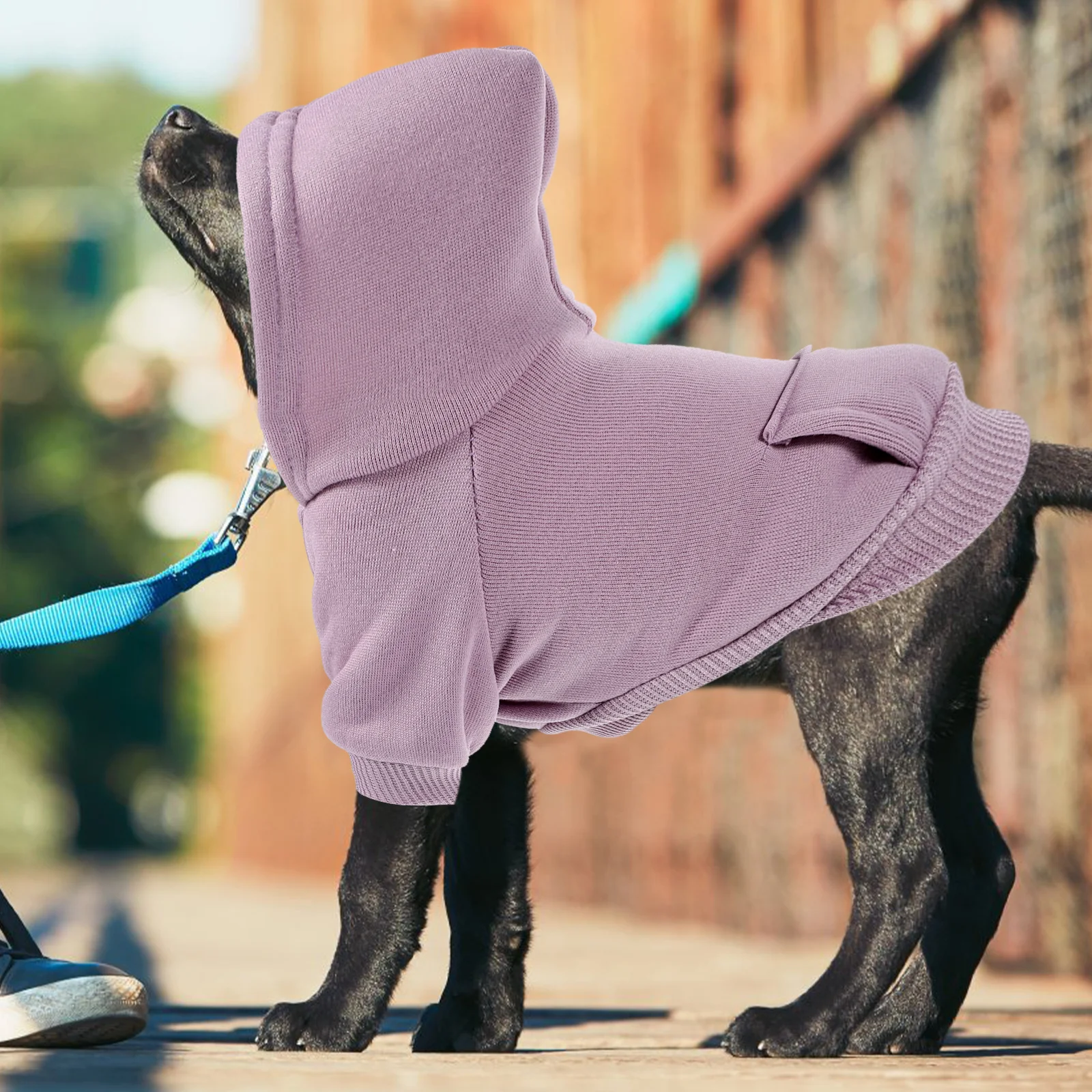 

Dog Hoodie for Small Dogs Autumn Winter Warm Clothes Puppy Sweatshirt Stylish Windproof Pet Outfit Cute Costume for Daily Wear