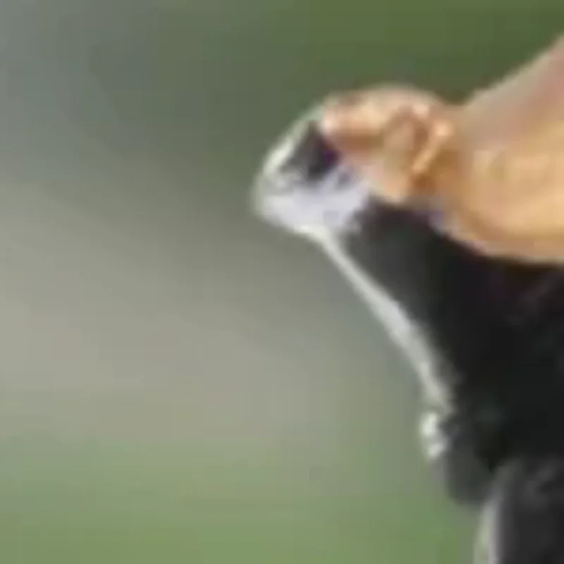 

4 шт./компл., мини-фигурки из смолы, модель, древний японский китайский ниндзя, самурай, воин, моделирование, крутые миниатюрные украшения автомобиля, подарки