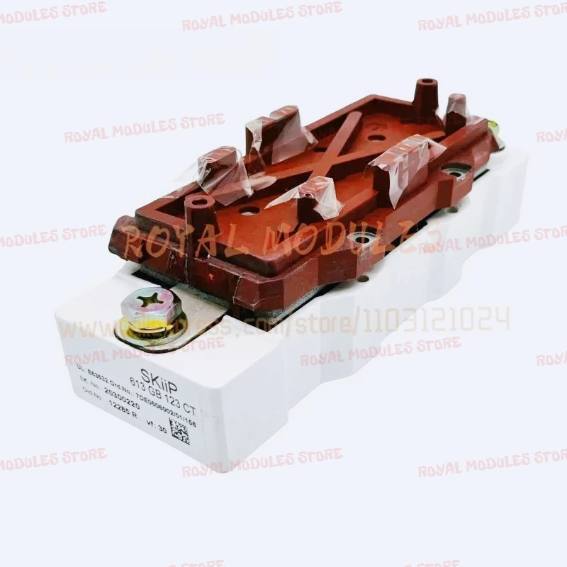 New Original  SKIIP 613GB123CT