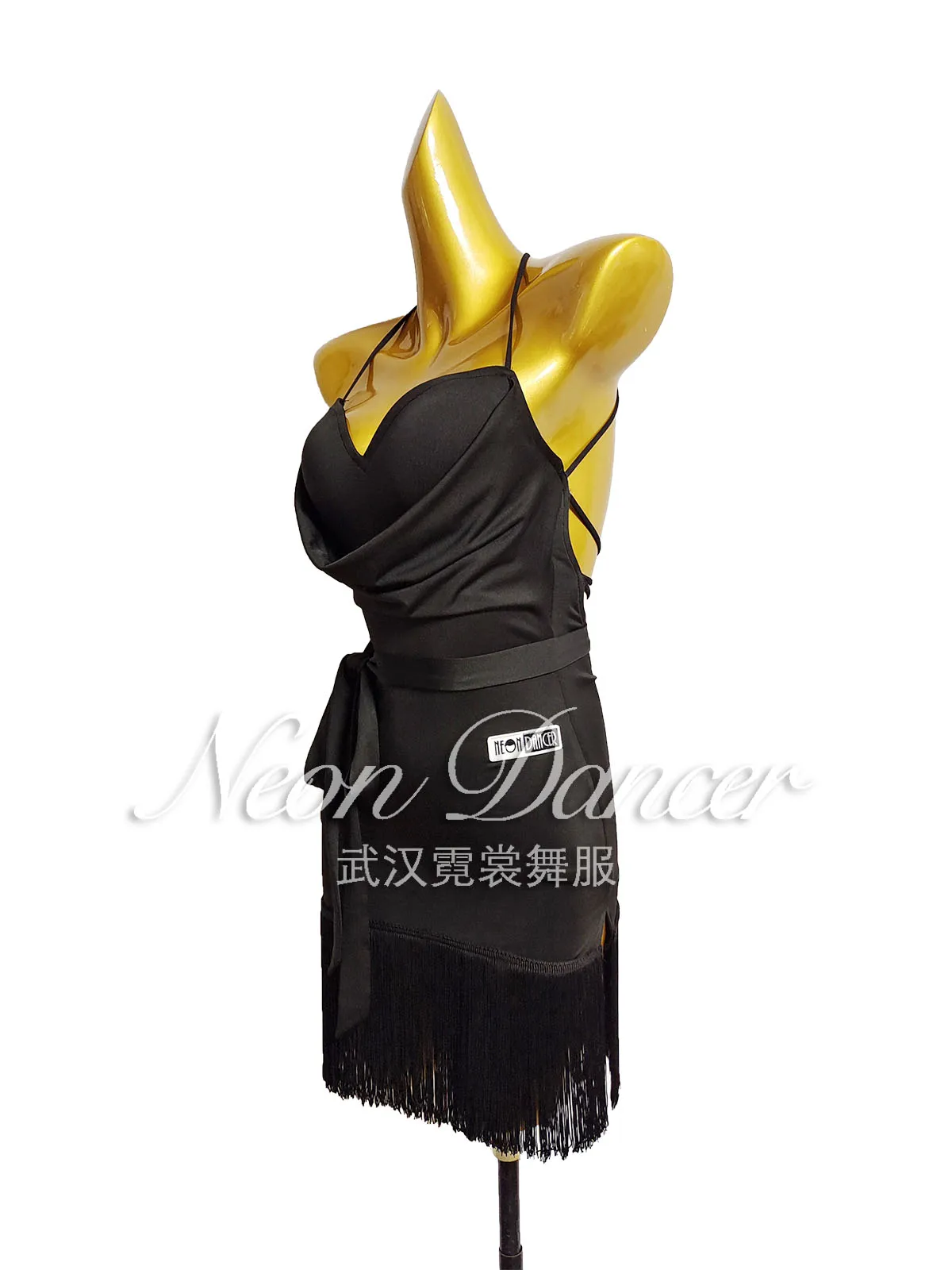 Neon Dancer New Women\'s Latin Dance Outfit, Swing-Neck Tassel Dress, Backless Practice Outfit