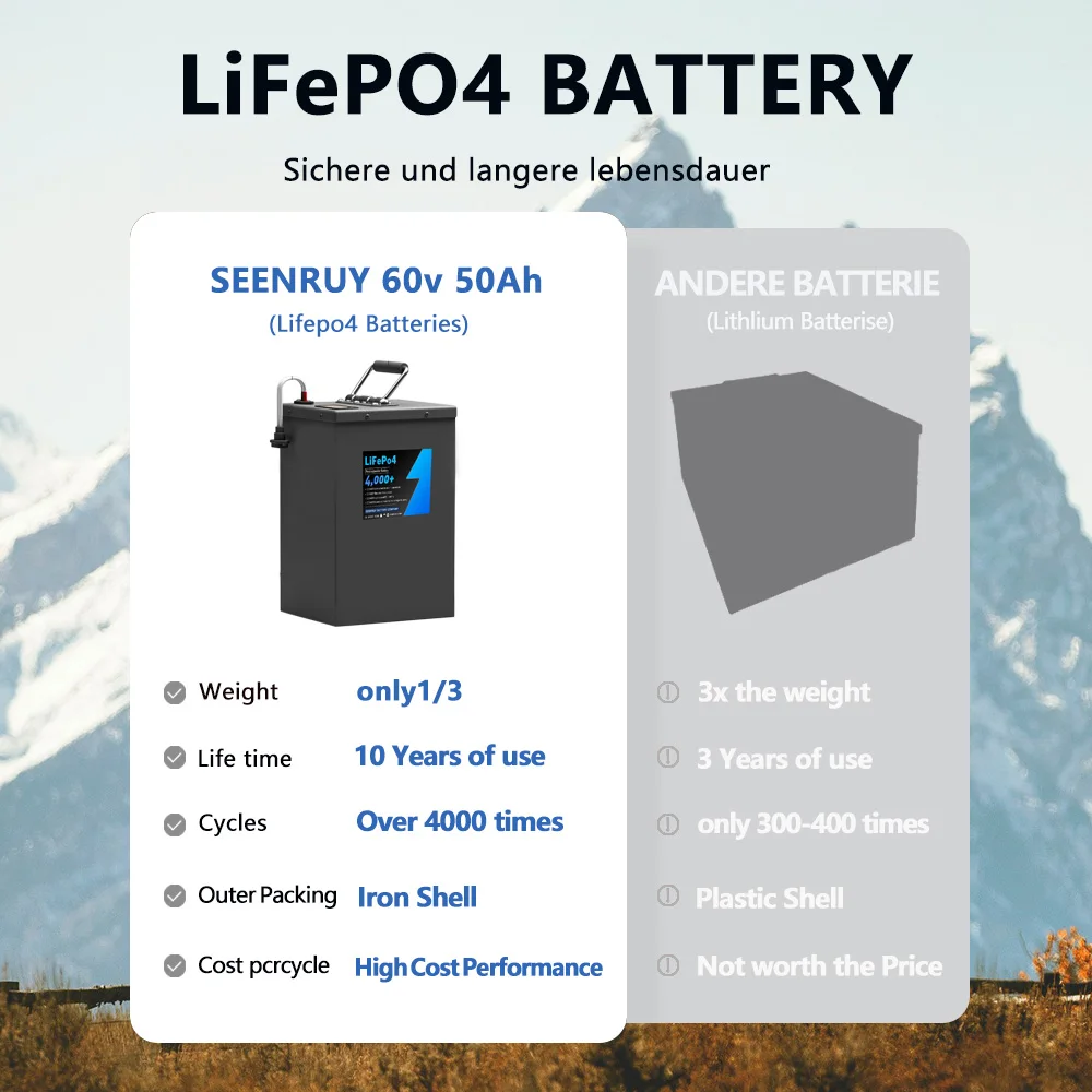 60v 50AH LifePo4 Battery Pack Built in 80A BMS Optional Bluetooth for Electric car electric tricycle with 10A Charger