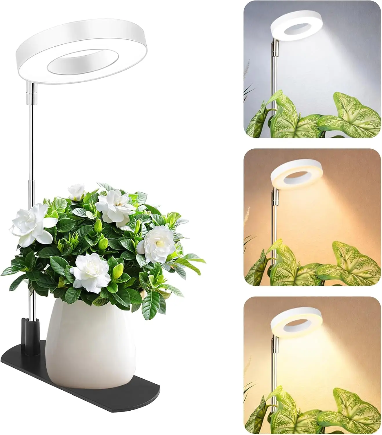 

Регулируемая фитолампа полного спектра с автотаймером и регулировкой яркости для комнатных суккулентов и трав