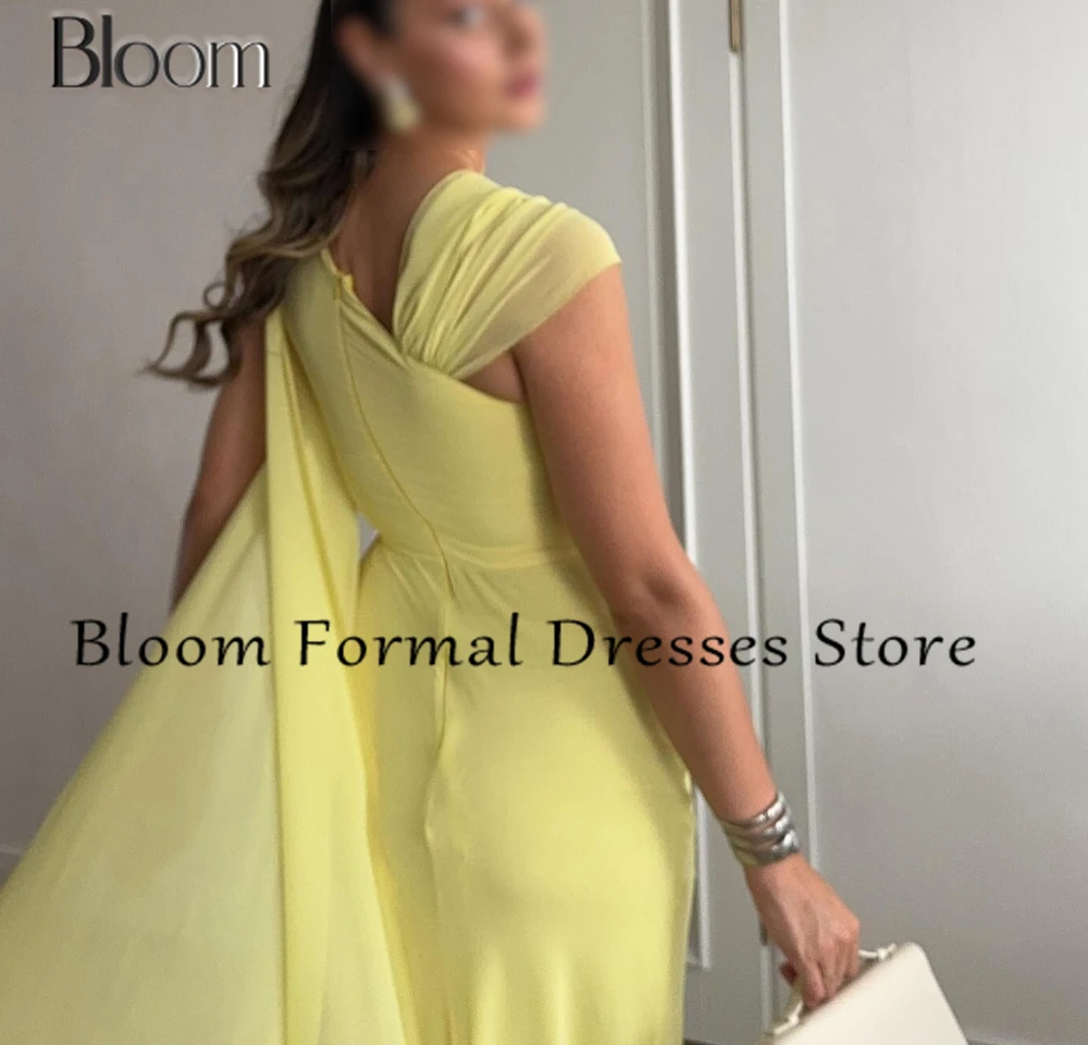 Bloom Sleeveless Straight Chiffon Solid Color V Neck Zipper Back Poretrait Floor Length Dresses For Formal Occasions Sweep Train