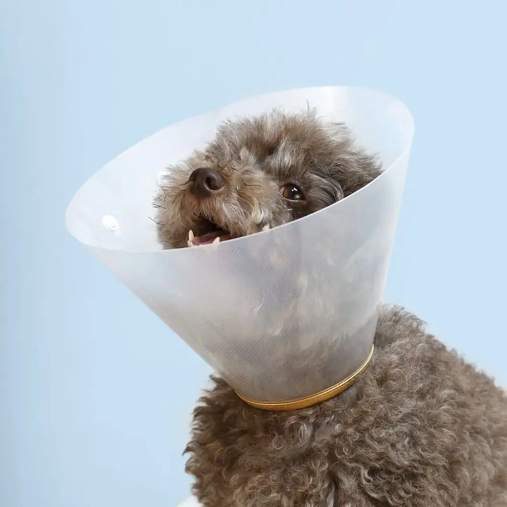 

Transparent Cat Recovery Collar Adjustable Plastic Pet Protective Collar Anti-licking Anti-bite Dog Neck Cone For Dog Cats
