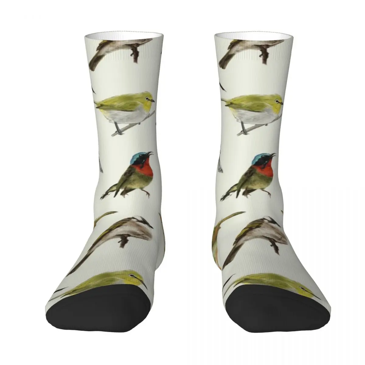 

Realistic Garden Birds Seamless Pattern Design Socks retro golf Luxury Woman Socks Men's