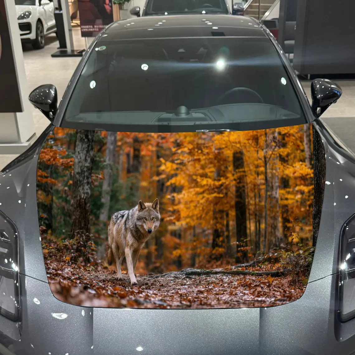 

Car Decals A Wolf In Autumn Forest With Golden Foliage Scene Creation Car Hood Sticker, Waterproof Self - Adhesive Vinyl Graphic