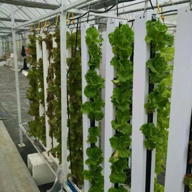 Sistem Hidroponik Vertikal NFT - Hydroponic Nft Channel ulasan dan harga
