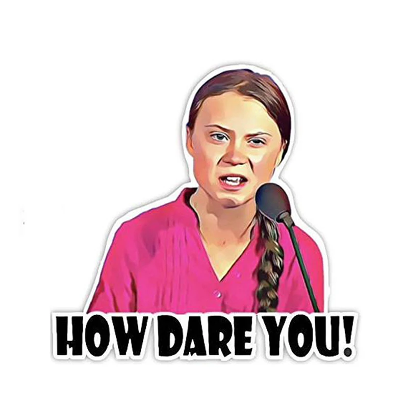 2pcs 8*8cm How Dare You Greta Thunberg Vinyl Decal Sticker Window Truck Car