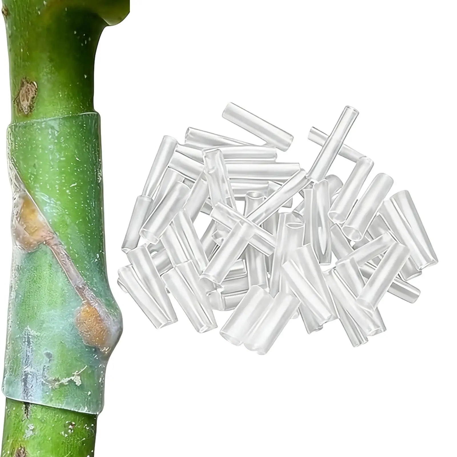 

Plant Grafting Sleeves 100 Pieces Silicone Branch Tube Grafting Sleeves For Fruit Tree For Indoor Outdoor Garden Yard Greenhouse