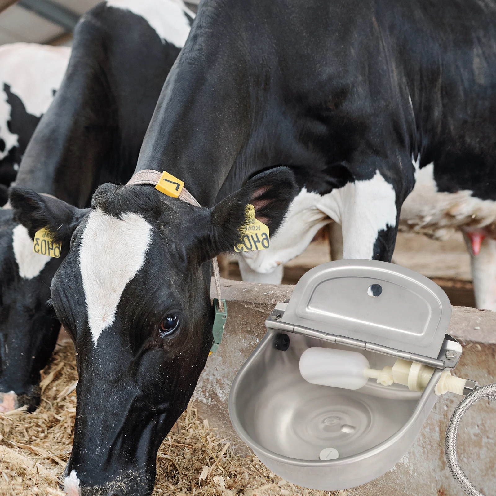 1 комплект, автоматическая поилка из нержавеющей стали, инструмент для домашних животных, миска для воды с плавающим шариком для крупного рогатого скота, лошади, козы, овцы, собаки