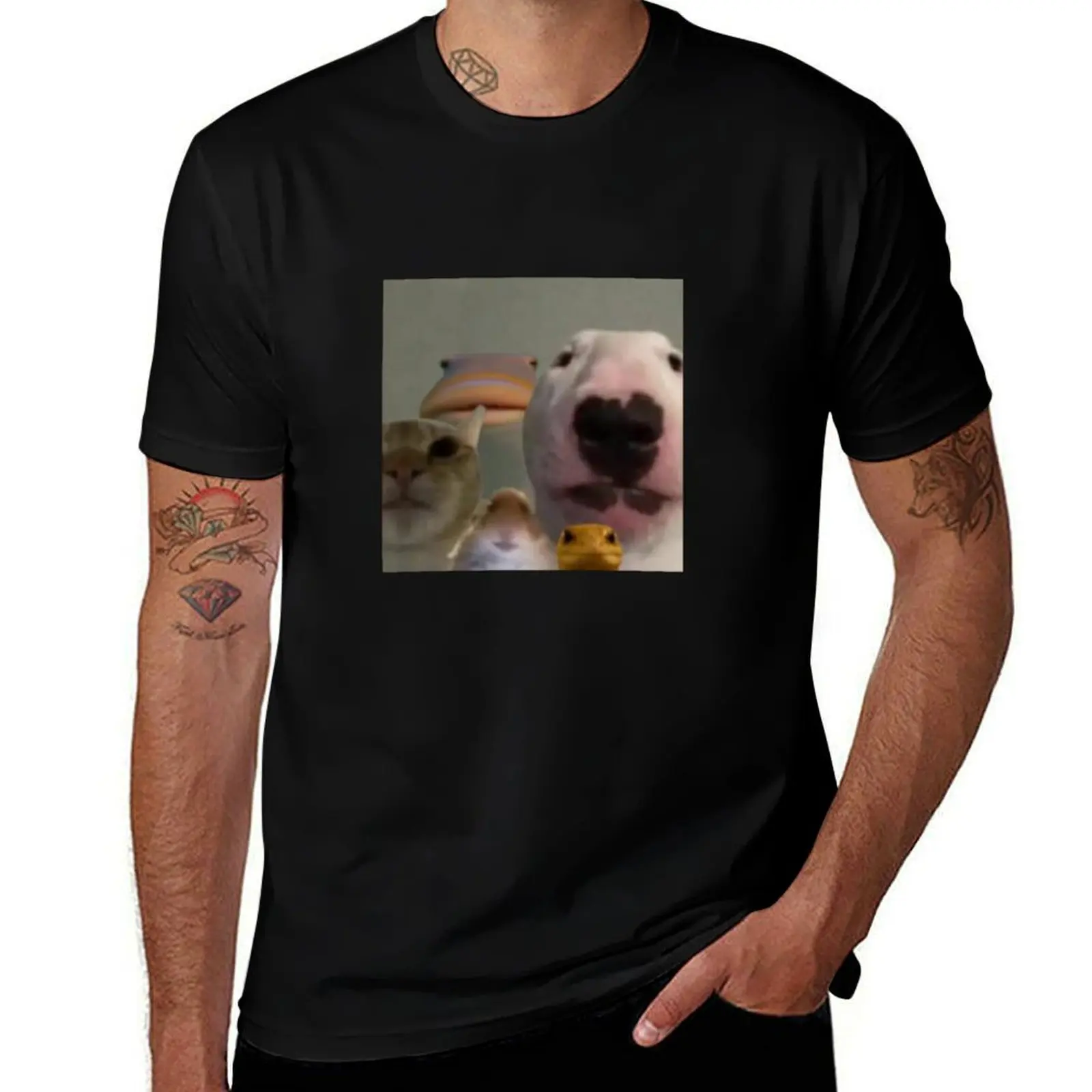 Walter And Friends …
