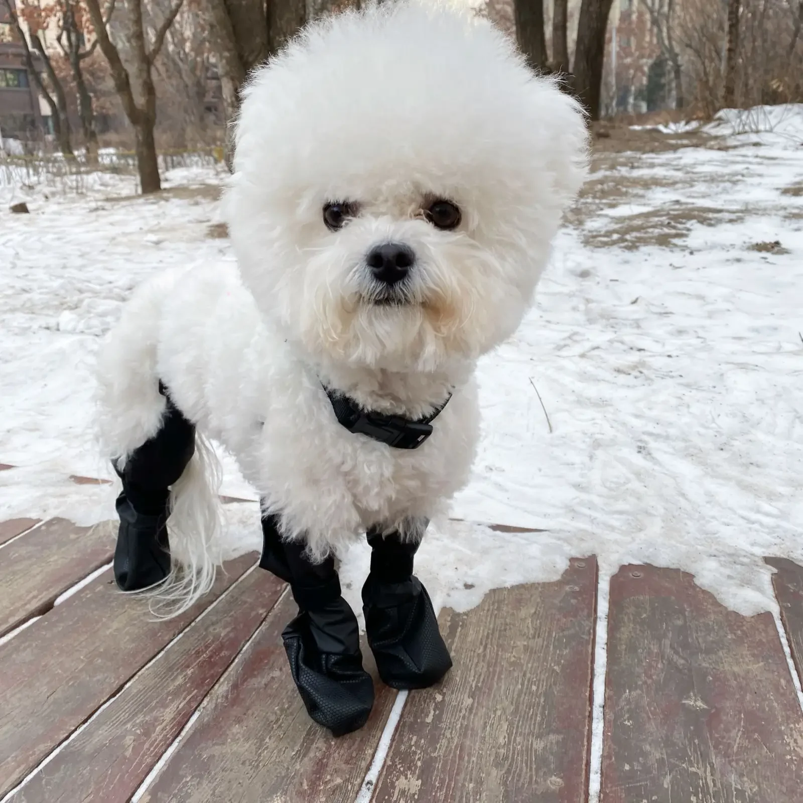 Anti Slip Dog Boots Paw Protector Rain Boots Waterproof Dirty Resistant Pet