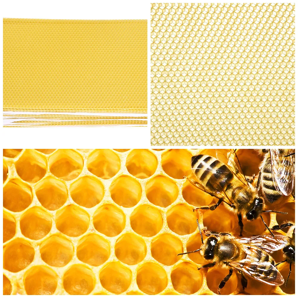 30PCS Beekeeping Nest Box Foundation Beeswax Honeycomb Sheets Beekeeper Tools