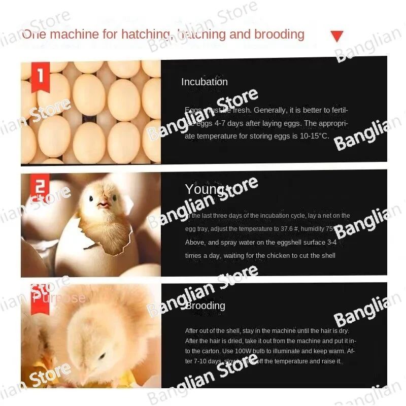 204/136 Eggs Intelligent Large and Medium-Sized Incubator Household Full-Automatic Incubator Chicken Duck Goose Quail Incubator