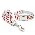 Collar Leash Set