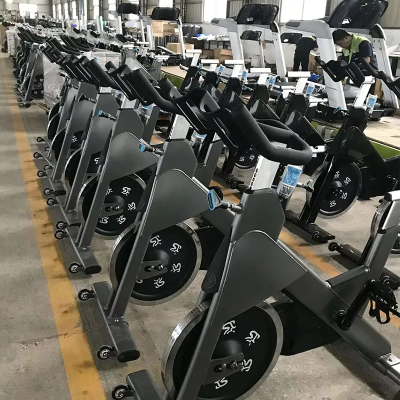 Indoor Cycling Bike with Steel Frame Gym Exercise Bike