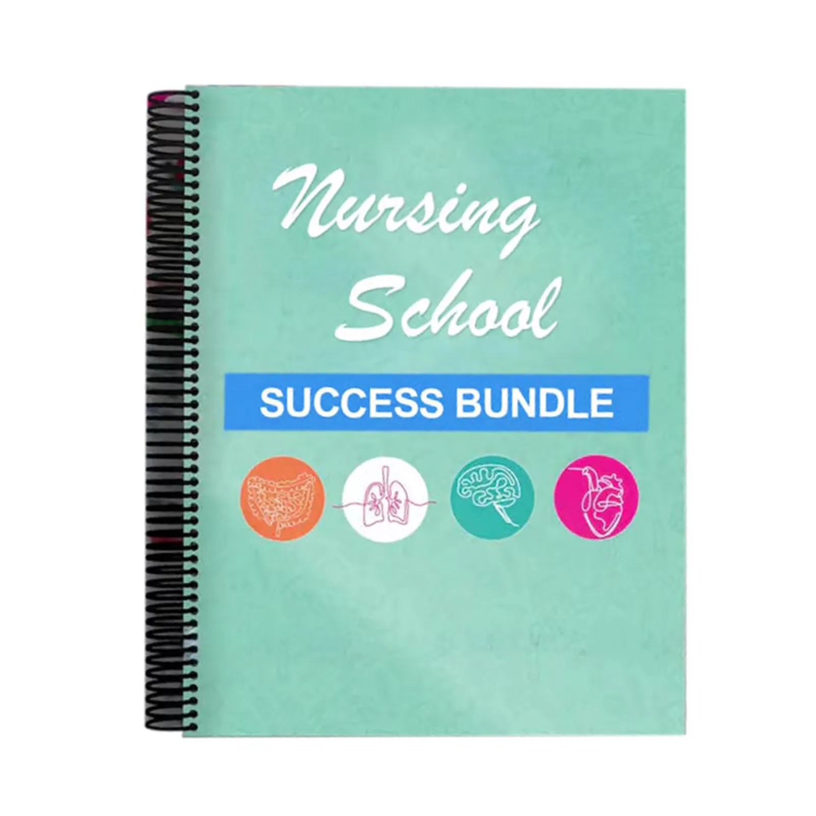 

Nursing School Success Bundle: Study Guide with Illustrated Notes for Aspiring Nurses A Must-Have for School Success