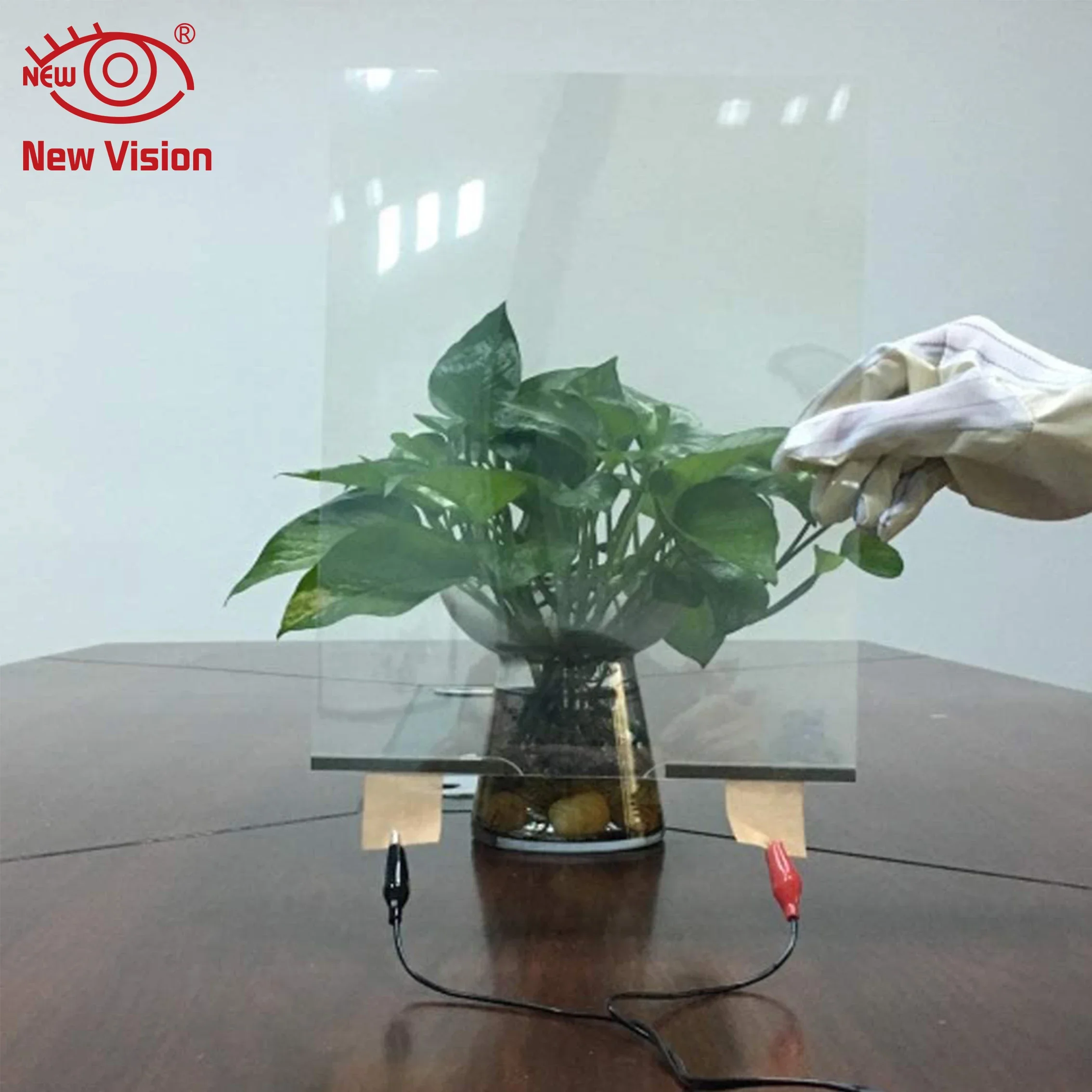 Electric Tint Film Switchable Decorative Smart Film Pdlc Glass Film for Car Window