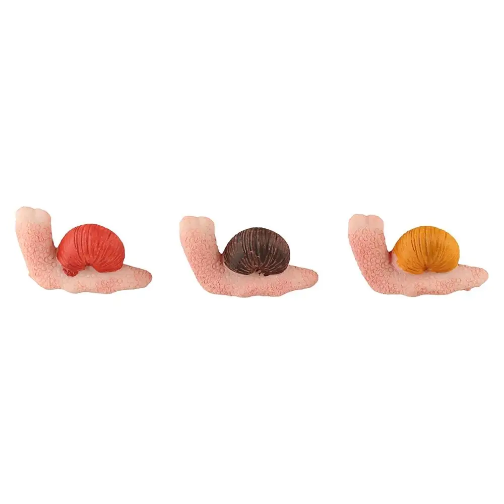 

Crafts Resin Small Snail Figurine Simulation Kawaii Snail Model Creative Cute Animal Mini Ornament Outdoor