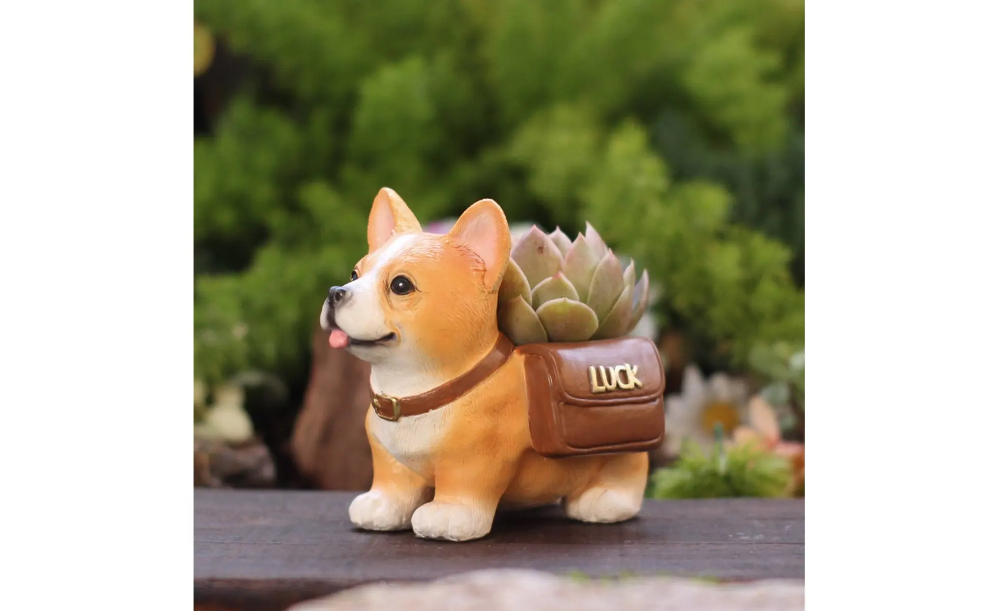 https://ae-pic-a1.aliexpress-media.com/kf/Sa41a8ce5d5ae4df2b14b65a04d354d0aJ.jpg