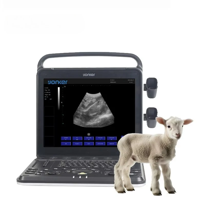 Yonker Ultrasound Machine Veterinary Ultrasound Equipment for Veterinarian Ultrasound Machine