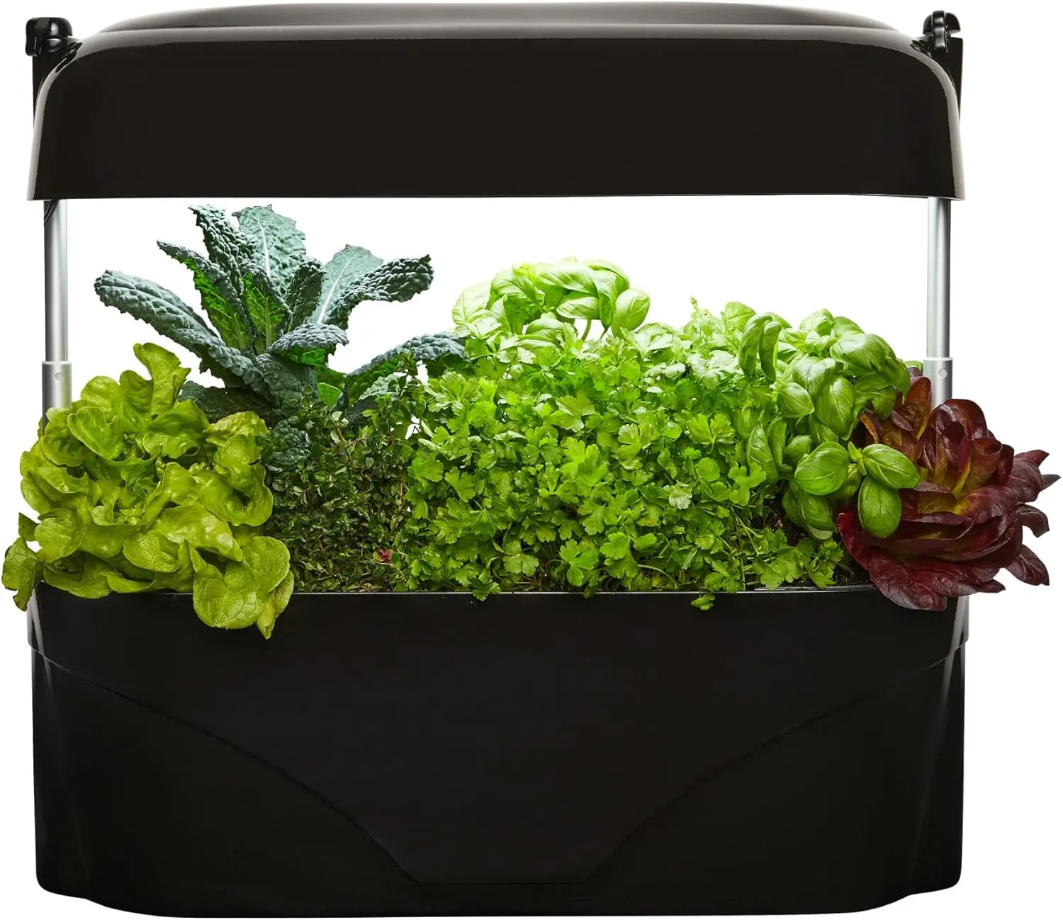 Kitchen Garden - Gourmet Herb and Vegetable Indoor Grow Kit, Self Watering, LED Grow Light (Black)