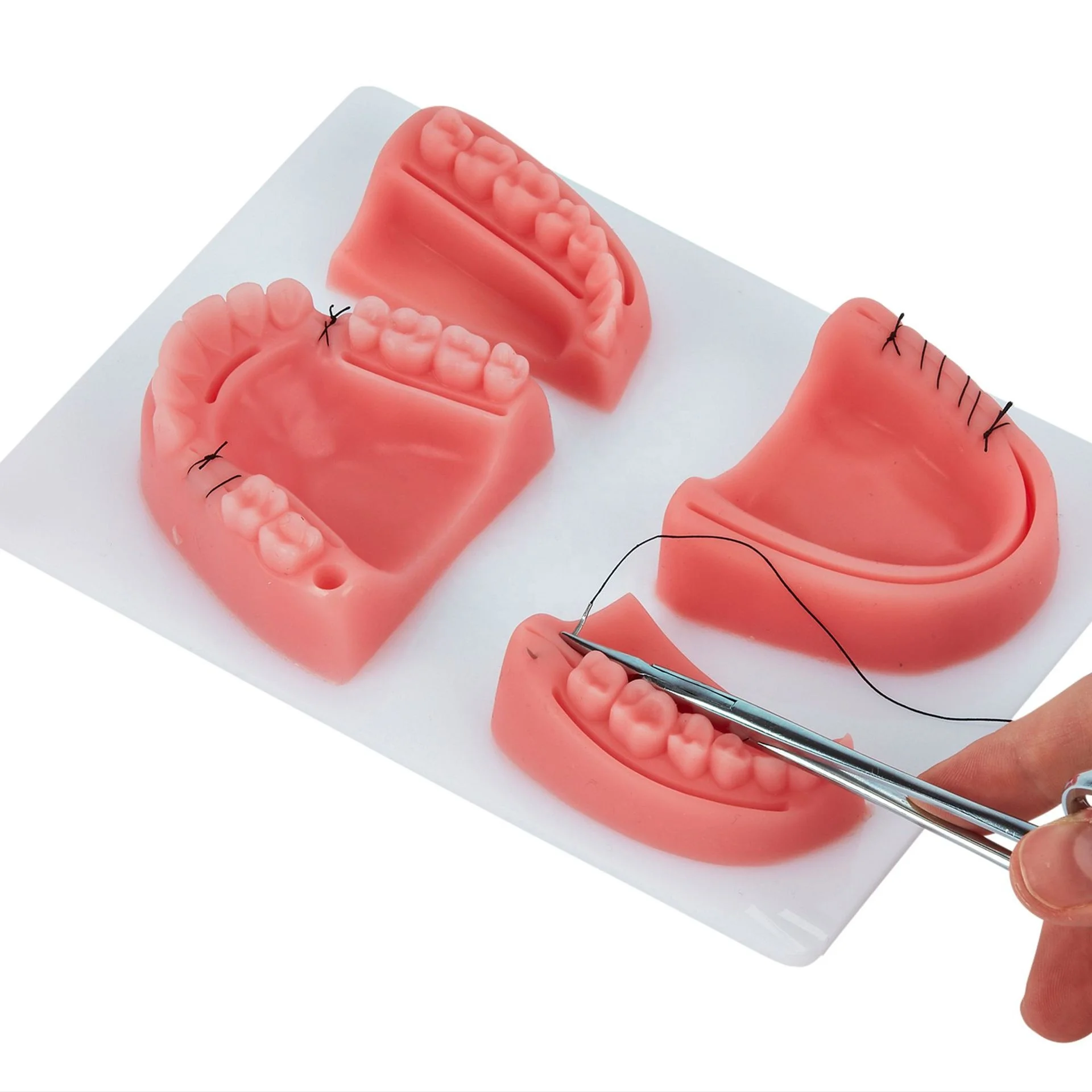 

Oral Suture Practice Model for Student Training Dental Suture Pad Oral Practice Gums Suture Model Dental Simulation