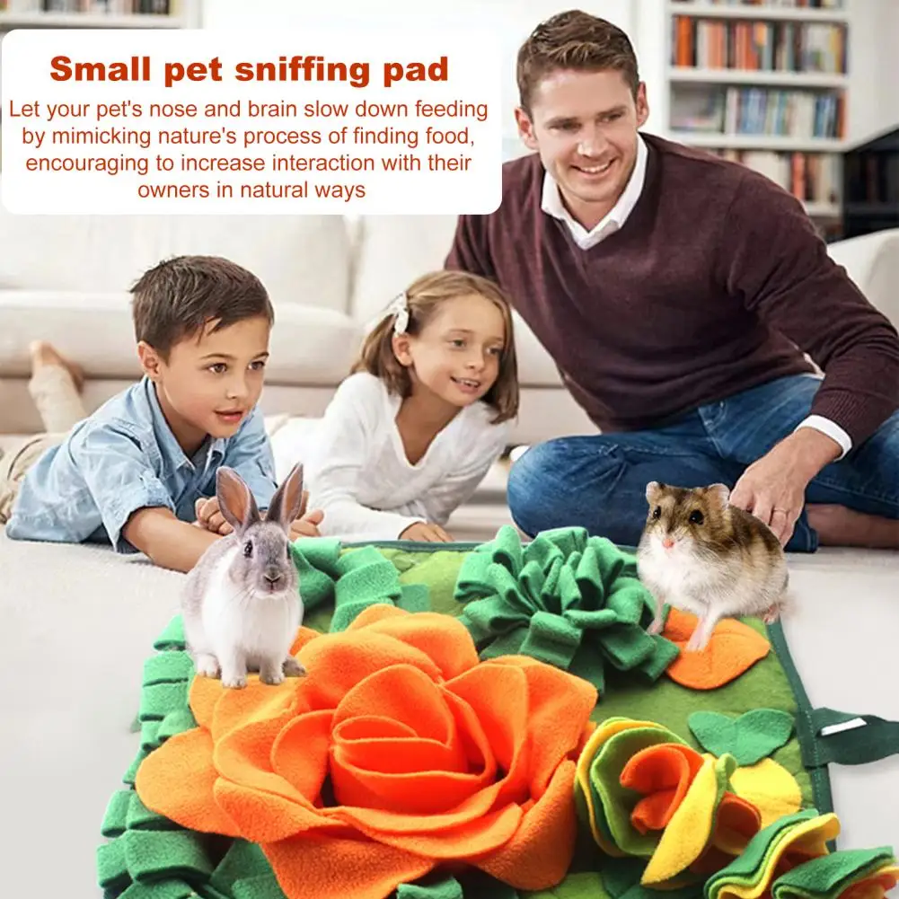 

Slow Feed Pet Mat Pet Snuffle Mat for Small Animals Guinea Pigs Rabbits More Slow Feeding Foraging Pad Supplies Pet Sniffing Pad