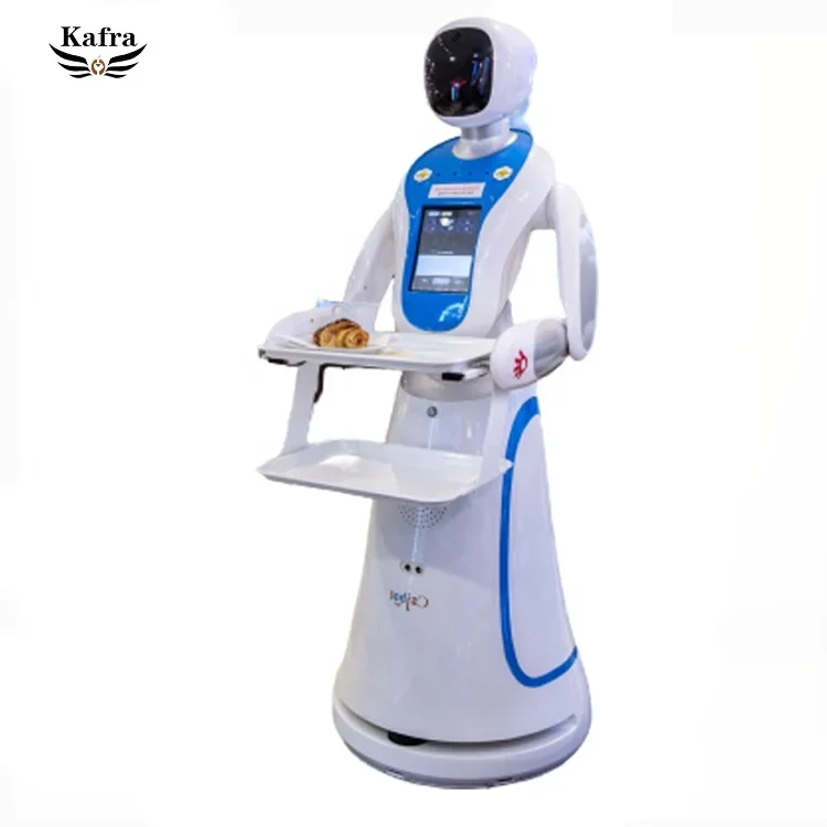 High-tech smart autonomous humanoid service robot