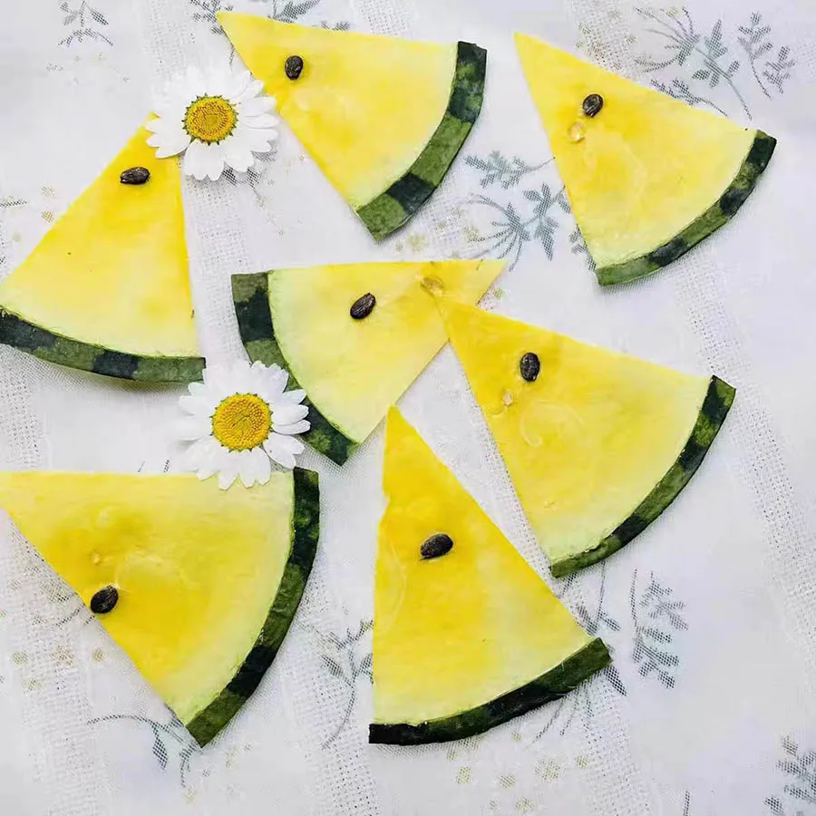 5pcs Dried Pressed Exopy Fruit Yellow Watermelon Slices Plant Herbarium For Jewelry Photo Frame Phone Case Bookmark Craft Making