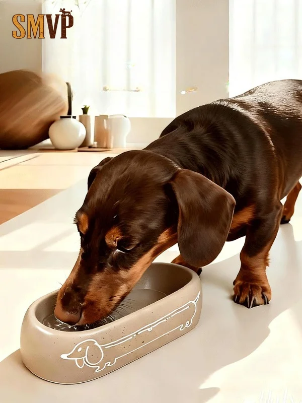Prevent Ear Wetting Oval Ceramic Pet Water Bowl Long Narrow Design Easy Wash Durable Pet Drinking Feeding Bowl for Small Pets
