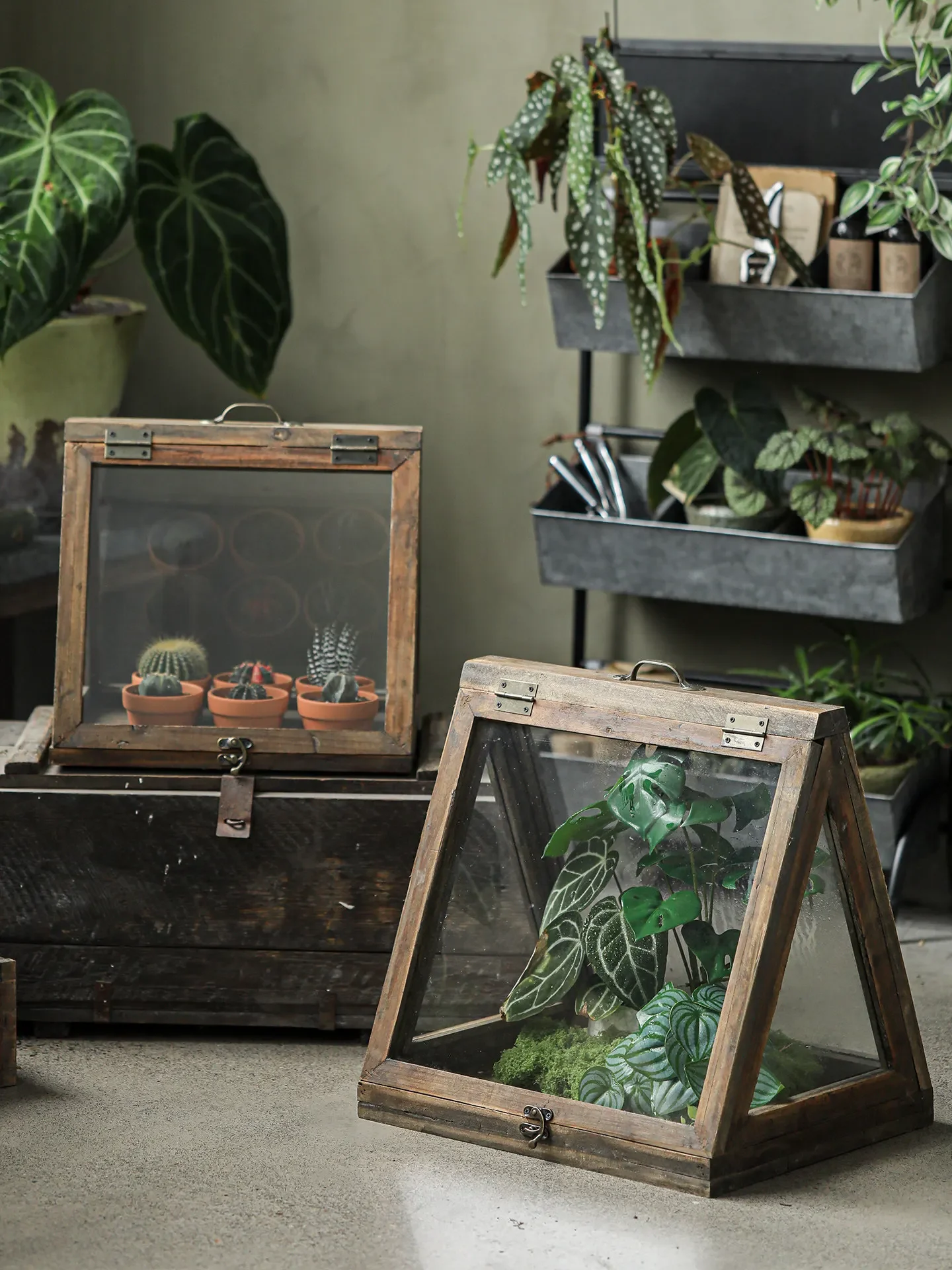 Plant insulated box, green plants for wintering, glass greenhouse stuffed storage box, garden courtyard, vintage balcony