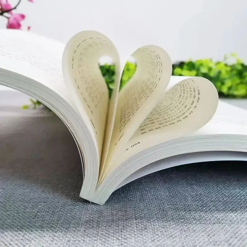 Mode de flux pour le marketing privé, solution complète, croissance rapide, guide d'utilisation