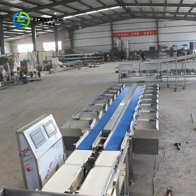 Customized Fish Sorting Machine High Efficiency Weight Sorter Stainless Steel Construction for Seafood Processing Plant