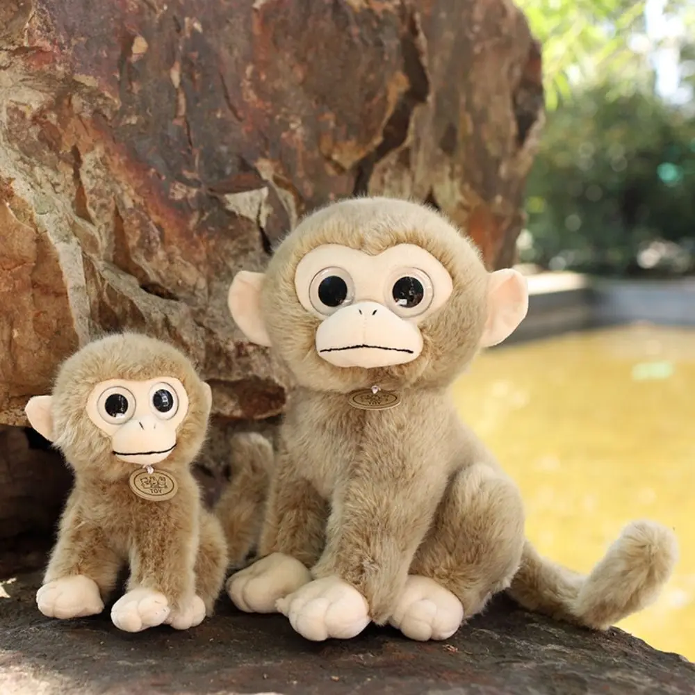 Peluche de singe aux grands yeux dorés, animal en peluche, poupée de singe brun, jouet de simulation, décoration de chambre, 17 cm, 30cm