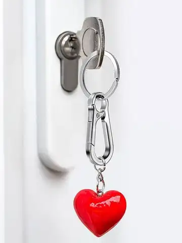 4Pcs Carabiner Clip Keychain Metal Carabiner Shape Key Ring Keyring Key Holder Clips Hook Holder Organizer for Car Keys Finder f