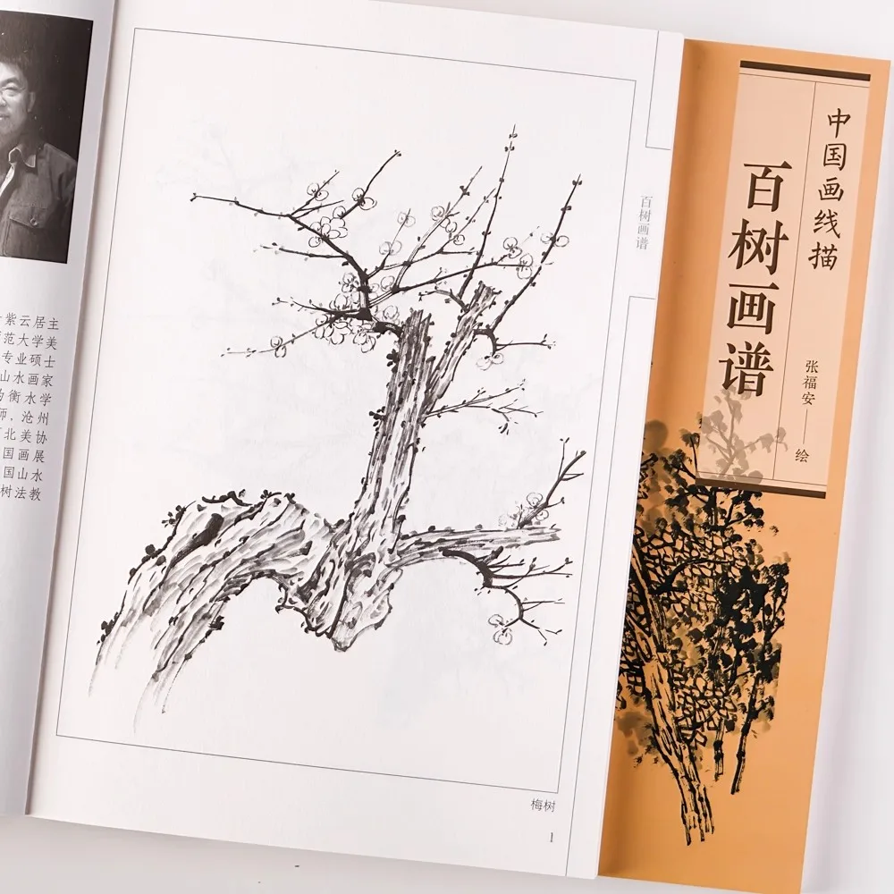

Tradition Chinese Bai Miao Gong Bi a Hundred Pictures of Trees Tiger Pine Willow Cypress Line Drawing Painting Art Book
